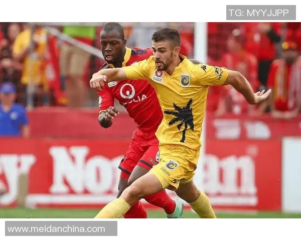 惠灵顿凤凰与阿德莱德联比赛前瞻及胜负分析预测